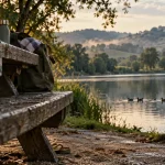 Lacs du Gers : pause au bord du lac en famille, eau calme et baignade
